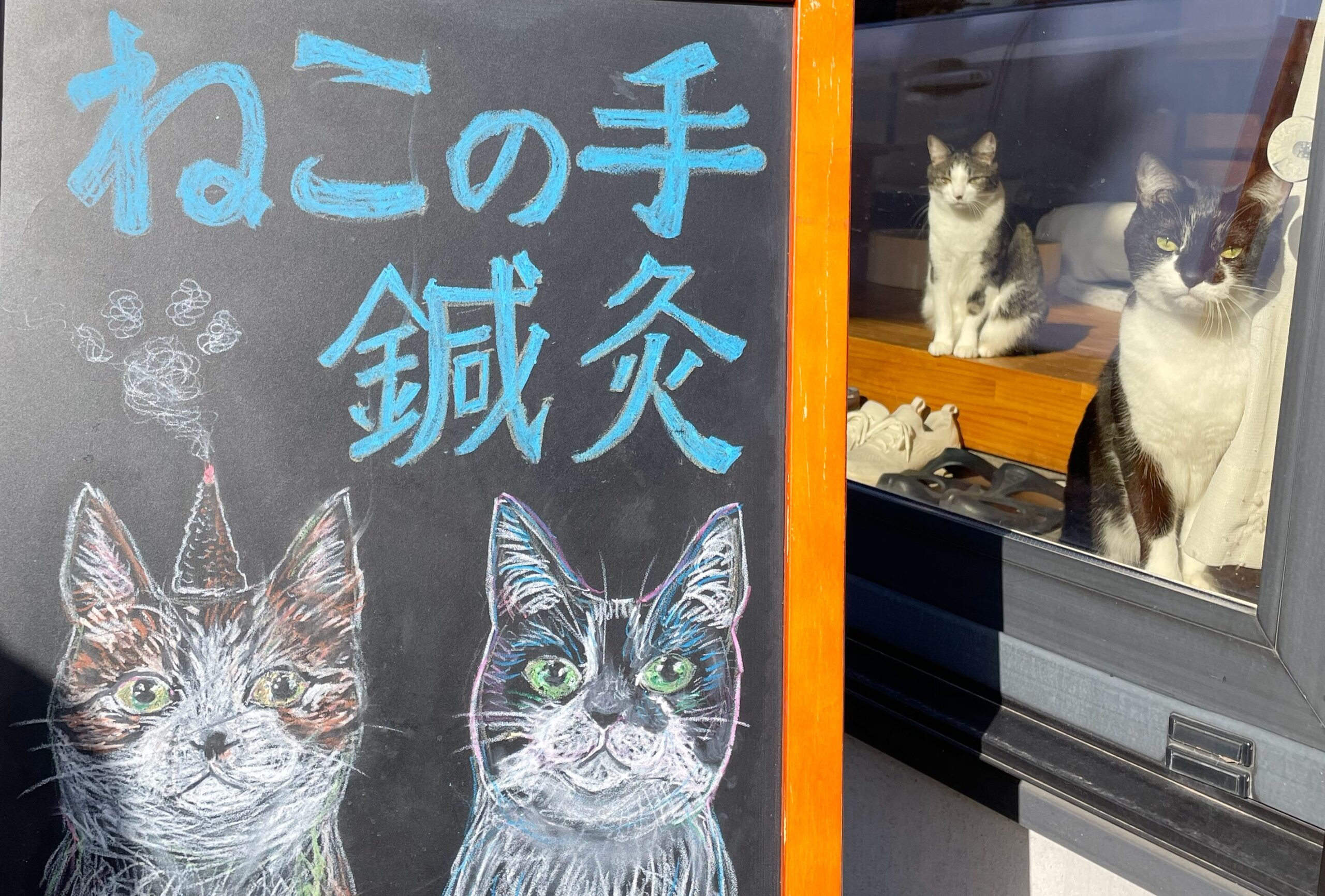 ホームページをオープンしました！